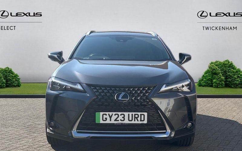 Used Lexus UX 150 kW (204 HP) 2022 SUV