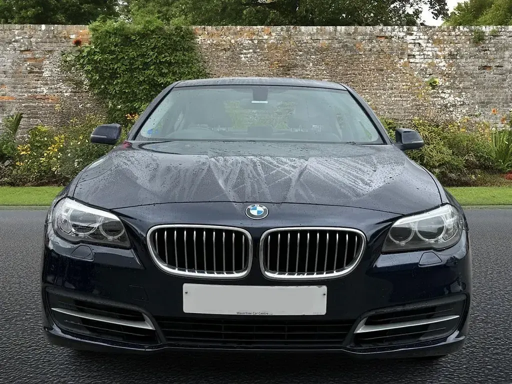 Used BMW 518 143 HP (105 kW) 2013 Blue Sedan
