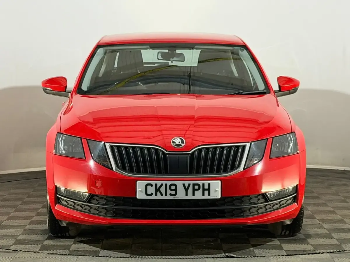 Usado Skoda Octavia SE 115 CV (84 kW) 2019 Rojo Utilitario