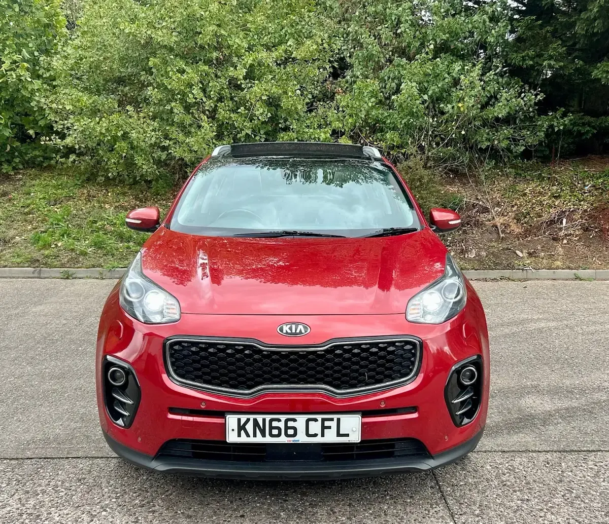 Used Kia Sportage 2016 Red SUV