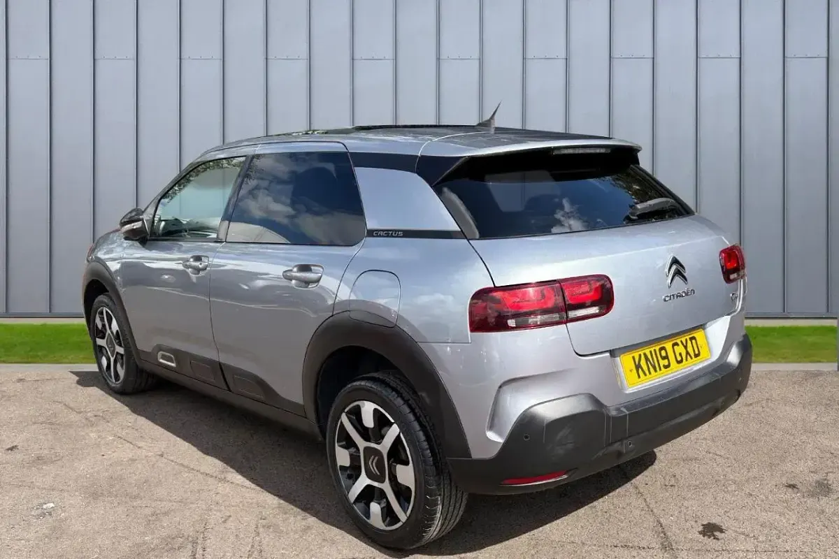 Used Citroën C4 Cactus Flair 128 HP (94 kW) 2019 Grey Hatchback