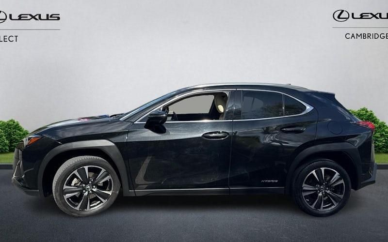 Used Lexus UX 250h 184 HP (135 kW) 2024 SUV