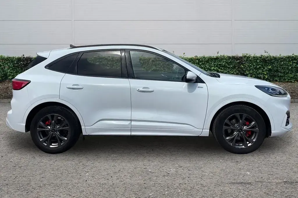Used Ford Kuga ST-Line 190 HP (139 kW) 2023 White SUV