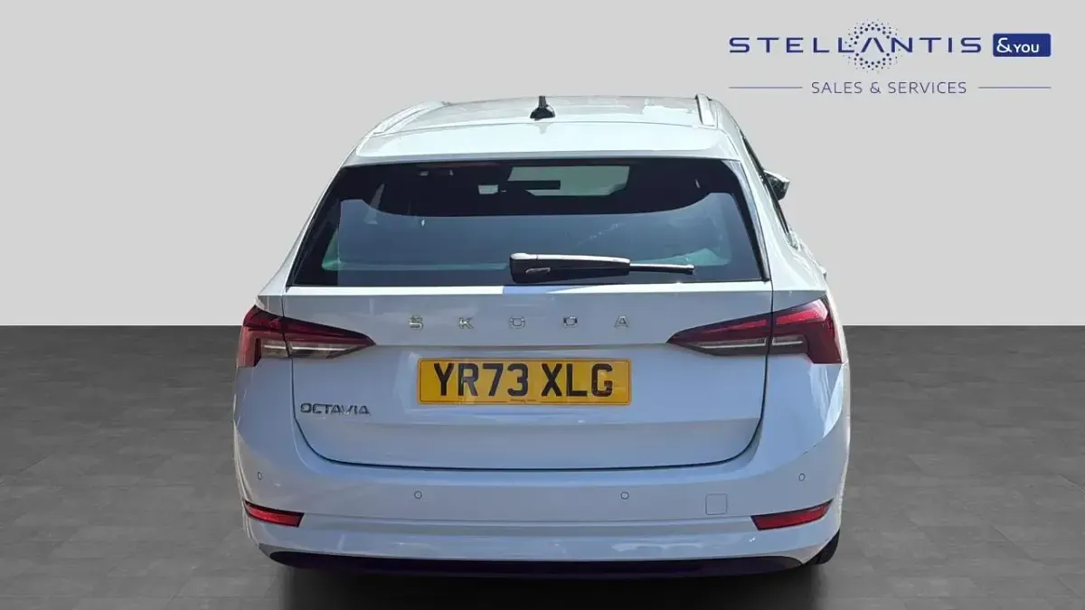 Used Skoda Octavia SE L 148 HP (108 kW) 2023 White Estate