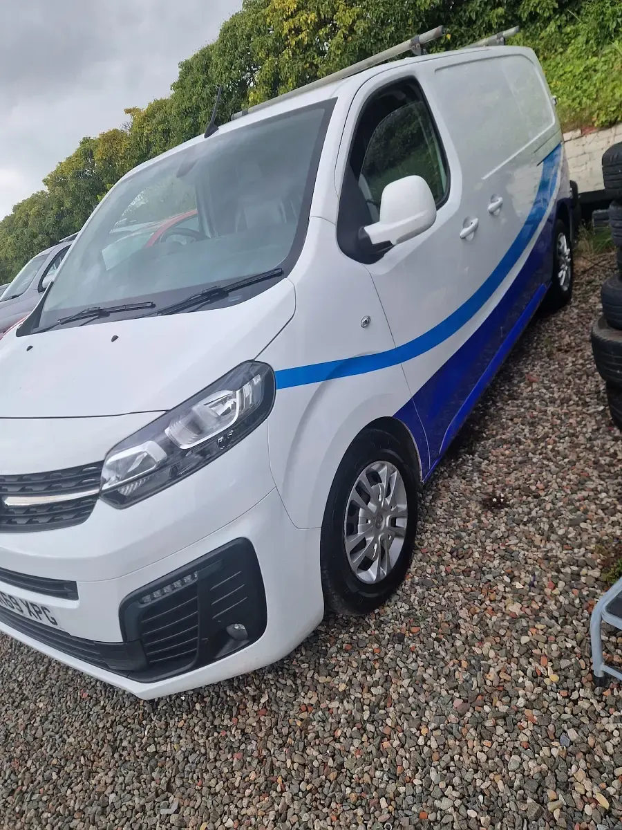 Used Vauxhall Vivaro Sportive 120 HP (88 kW) 2019 White MPV