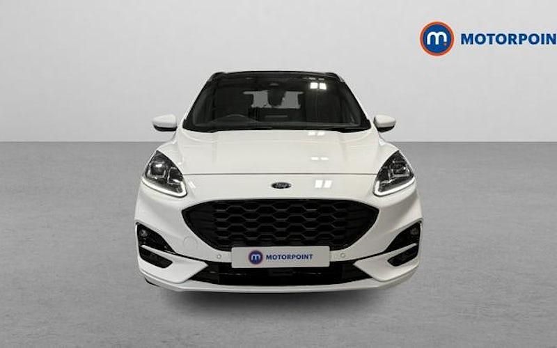 Used Ford Kuga ST-Line X 150 HP (110 kW) 2023 White SUV