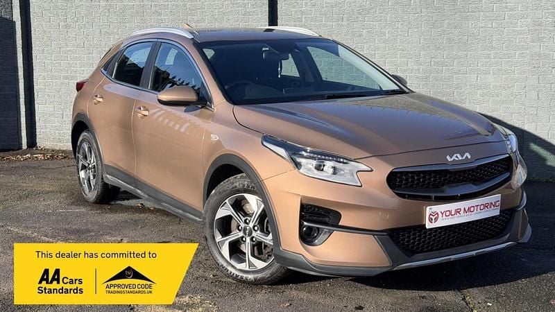 Used Kia XCeed 118 HP (86 kW) 2022 Bronze SUV