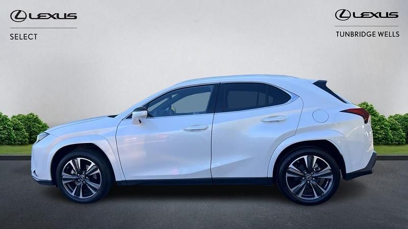 Used Lexus UX 2023 White SUV