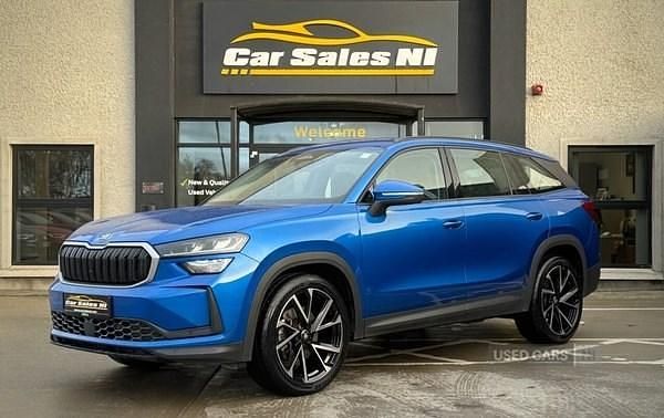 Used Skoda Kodiaq SE 2024 Blue SUV