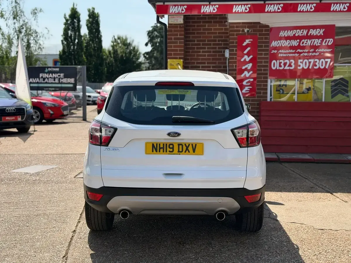 Used Ford Kuga Zetec 120 HP (88 kW) 2019 White SUV