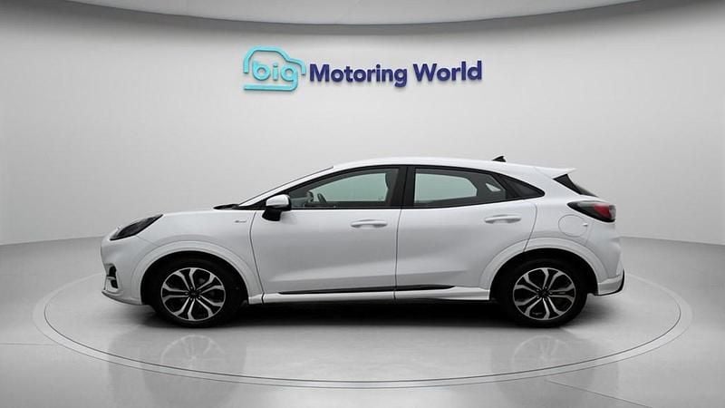 Used Ford Puma ST-Line 125 HP (91 kW) 2023 White SUV