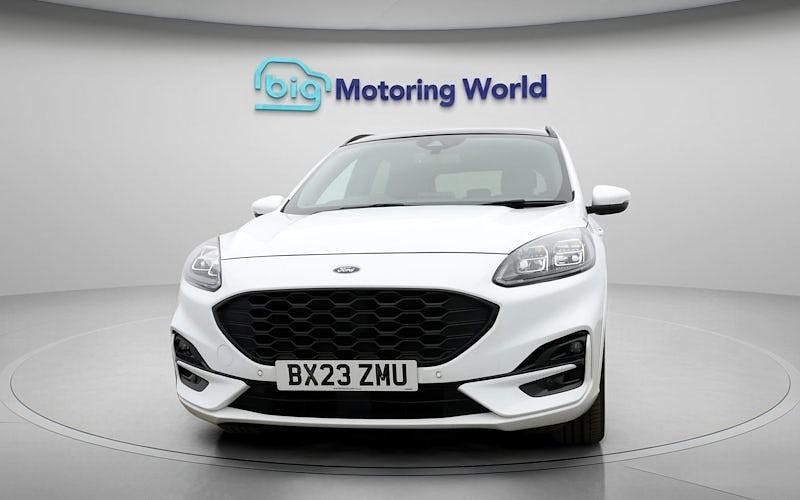 Used Ford Kuga ST-Line X 190 HP (139 kW) 2023 SUV