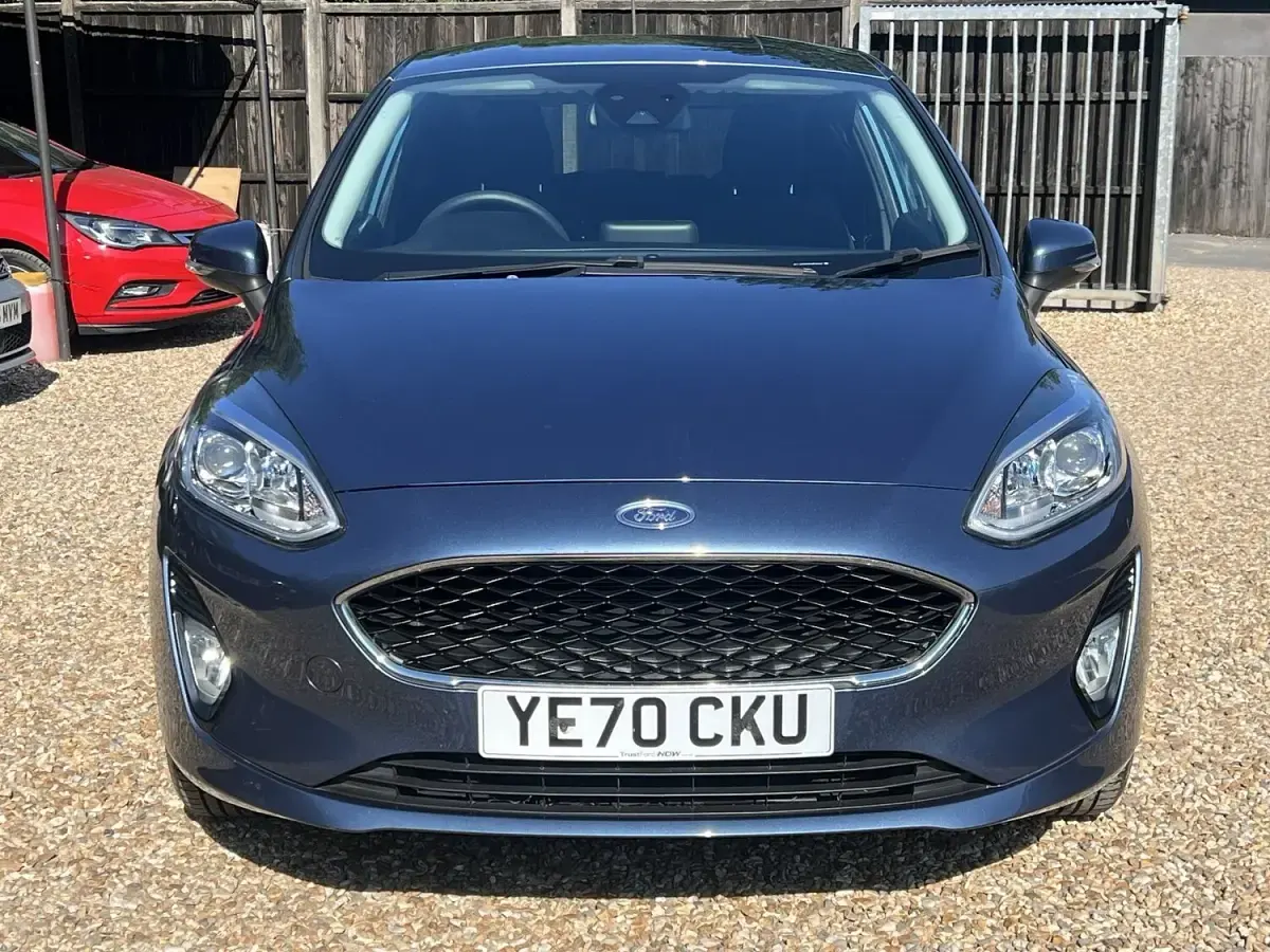 Used Ford Fiesta Trend 75 HP (55 kW) 2020 Blue Hatchback