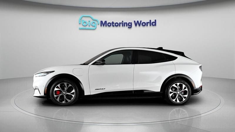 Used Ford Mustang Mach-E Extended Range 254 kW (346 HP) 2022 SUV