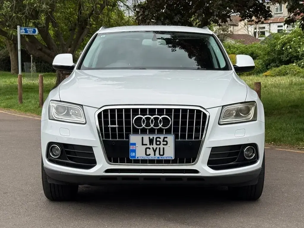 Used Audi Q5 Performance 2015 White SUV