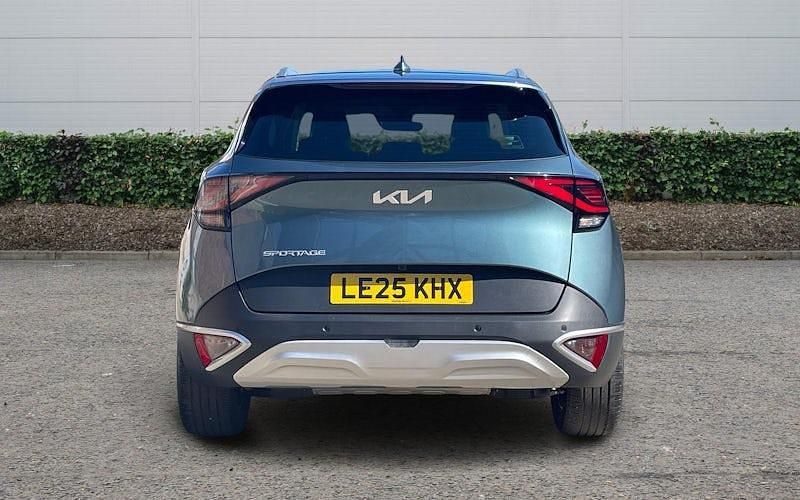 Used Kia Sportage 159 HP (116 kW) 2024 SUV