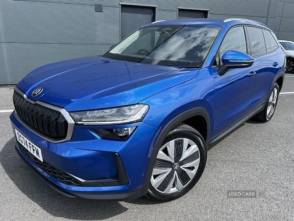 Used Skoda Kodiaq SE L 193 HP (141 kW) 2024 Blue SUV
