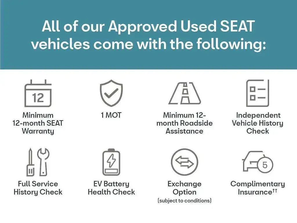 Used Seat Ibiza FR 94 HP (69 kW) 2019 Silver Hatchback