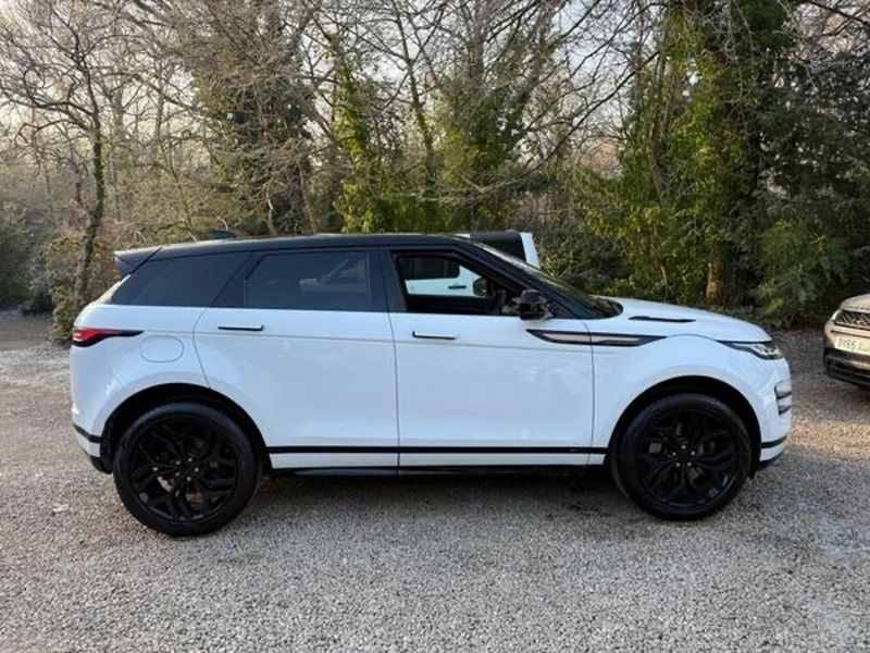 Used Land Rover Range Rover evoque SE Dynamic 178 HP (130 kW) 2019 White SUV