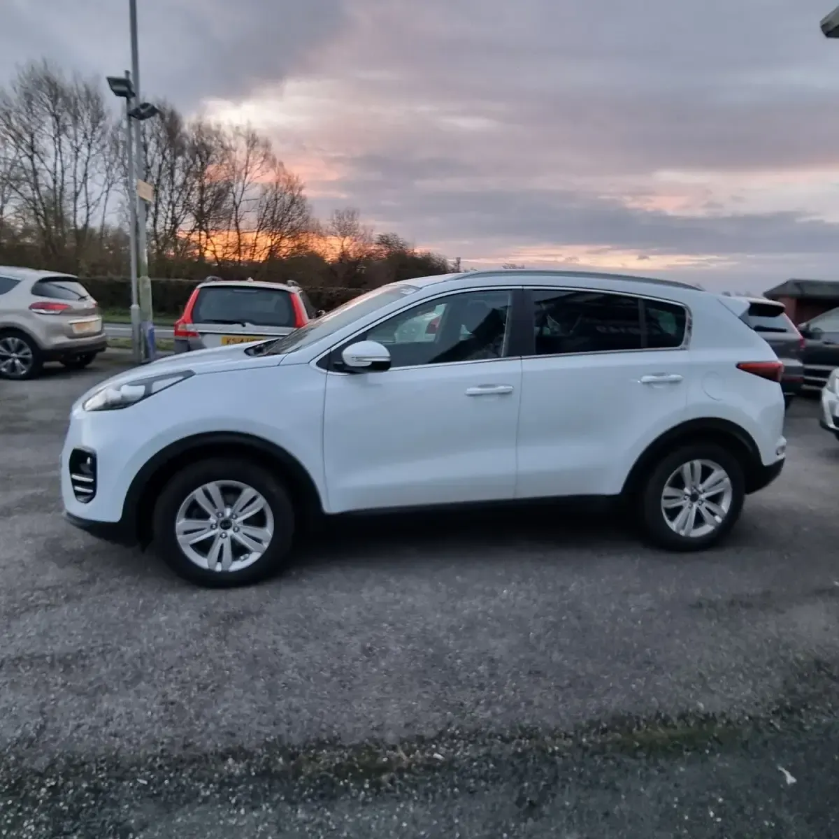 Used Kia Sportage 177 HP (130 kW) 2017 White SUV