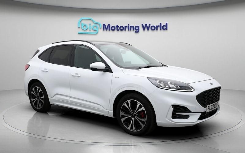 Used Ford Kuga ST-Line X 150 HP (110 kW) 2022 White SUV