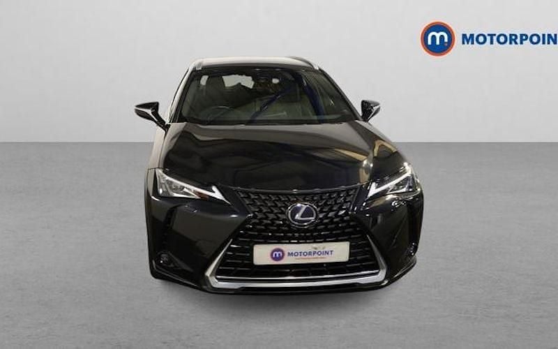 Used Lexus UX 250h 184 HP (135 kW) 2024 SUV