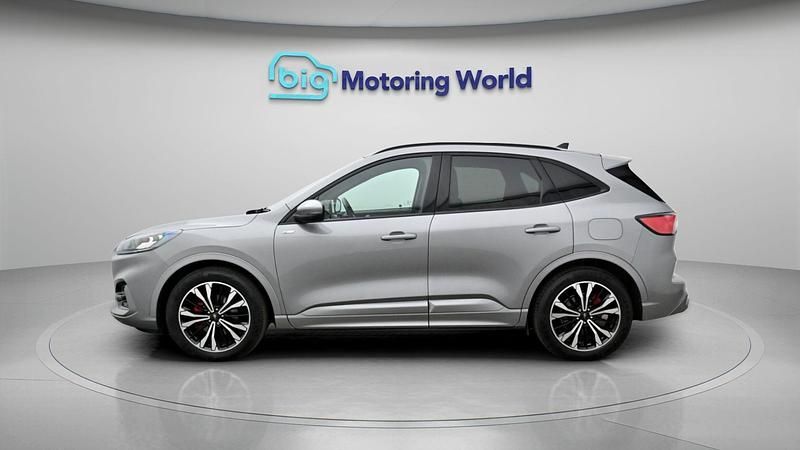 Used Ford Kuga ST-Line X 190 HP (139 kW) 2023 SUV