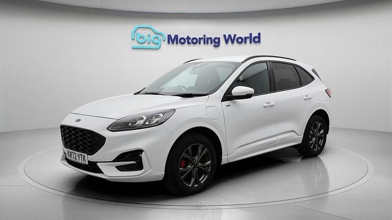 Used Ford Kuga ST-Line 225 HP (165 kW) 2023 White SUV