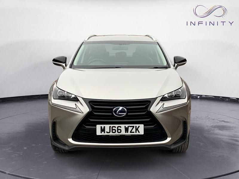 Used Lexus NX300h Sport Line 197 HP (144 kW) 2016 Silver SUV