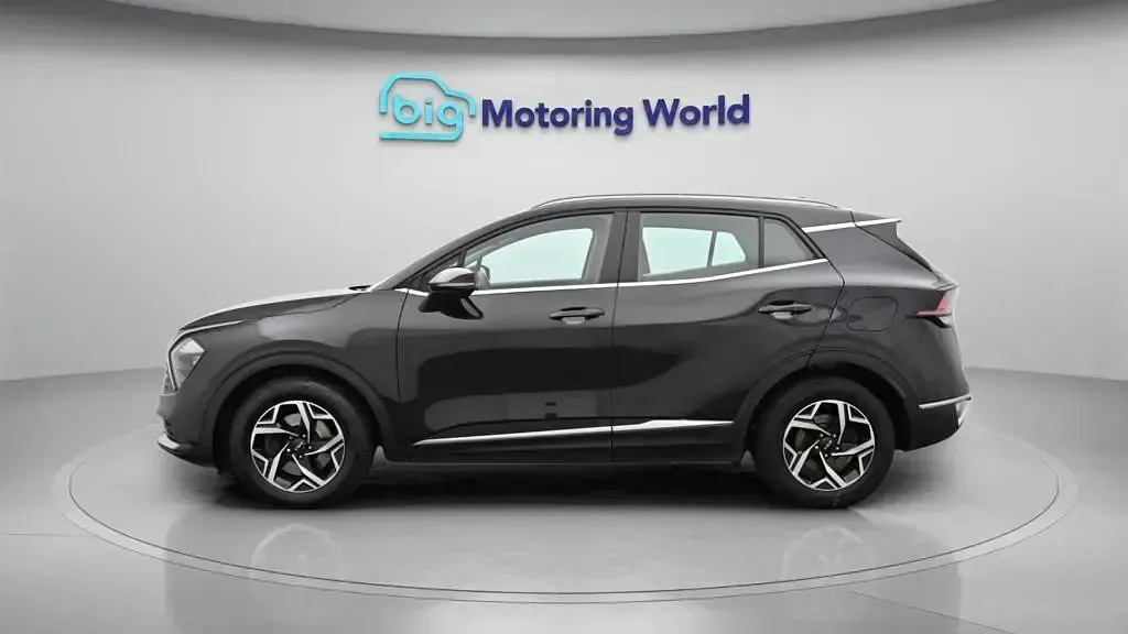 Used Kia Sportage 157 HP (115 kW) 2024 Black SUV