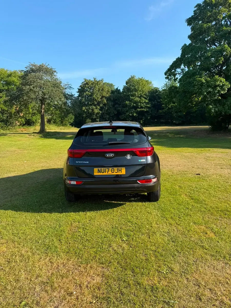 Used Kia Sportage 115 HP (84 kW) 2017 Black SUV