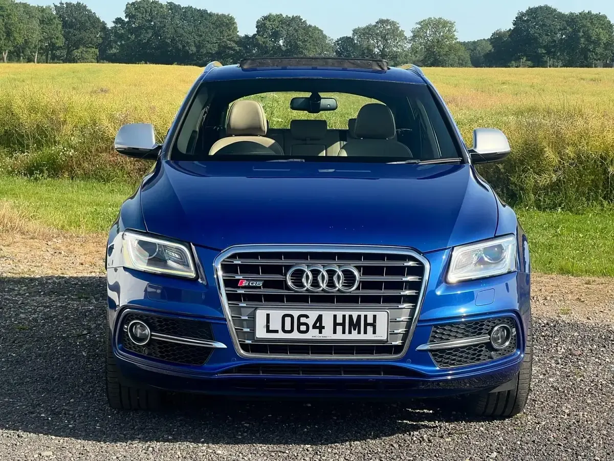 Used Audi SQ5 Exclusive 2015 Blue SUV