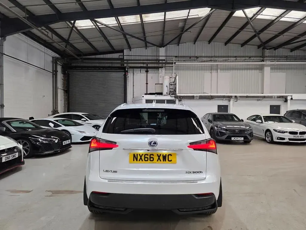 Used Lexus NX300h Sport Line 2016 White SUV
