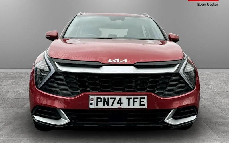 Used Kia Sportage 159 HP (116 kW) 2024 SUV