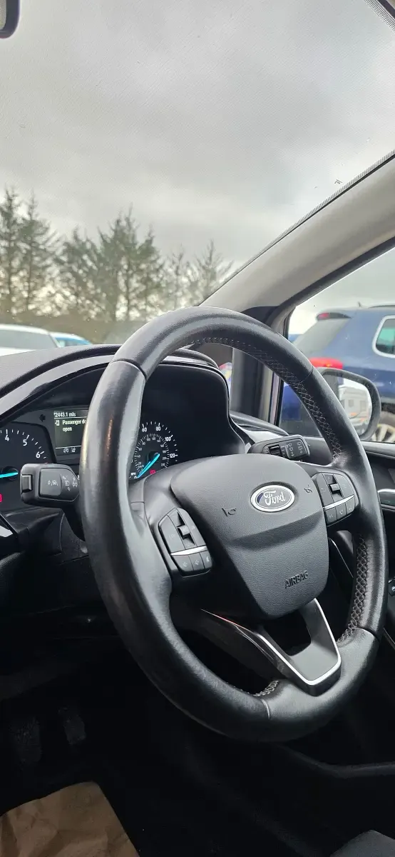 Used Ford Fiesta Zetec 70 HP (51 kW) 2017 Blue Hatchback