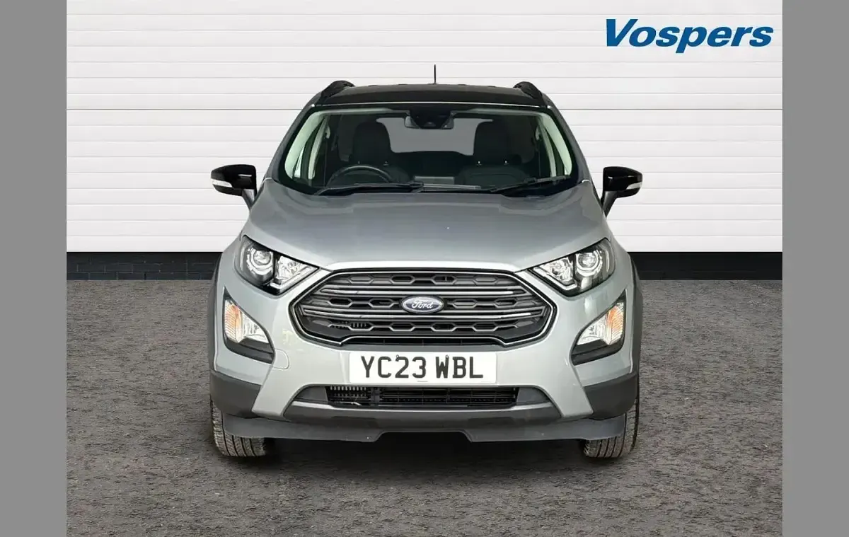 Used Ford Ecosport Active 123 HP (90 kW) 2023 Silver SUV