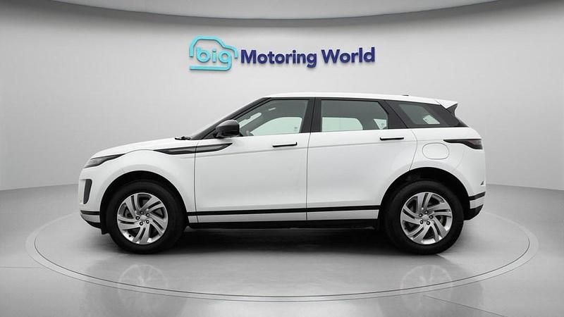 Used Land Rover Range Rover evoque S 309 HP (227 kW) 2024 White SUV