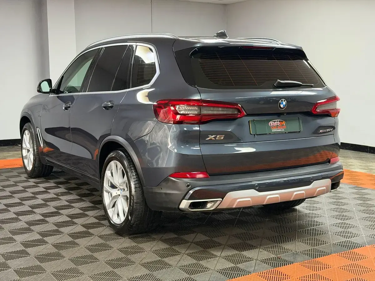 Used BMW X5 Sport Line 265 HP (194 kW) 2019 Grey SUV
