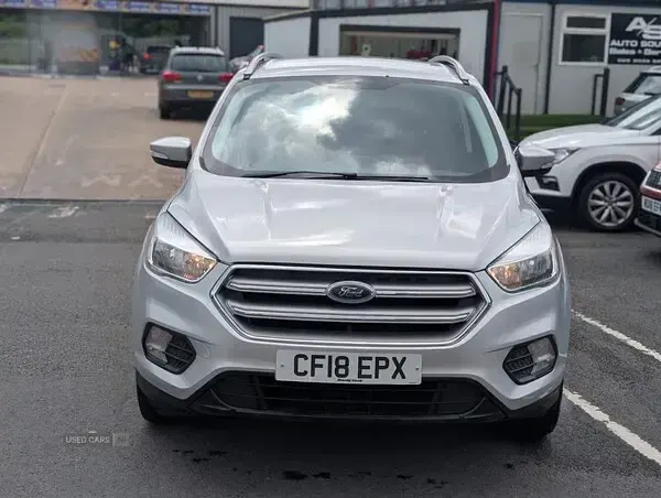Used Ford Kuga Zetec 120 HP (88 kW) 2018 Silver SUV