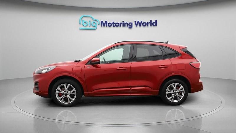 Usado Ford Kuga ST-Line 225 HP (165 kW) 2023 Vermelho SUV