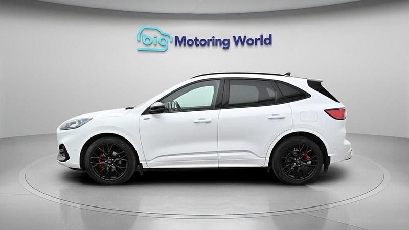 Used Ford Kuga S 190 HP (139 kW) 2023 White SUV