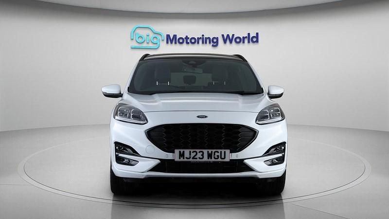 Used Ford Kuga ST-Line X 150 HP (110 kW) 2023 White SUV