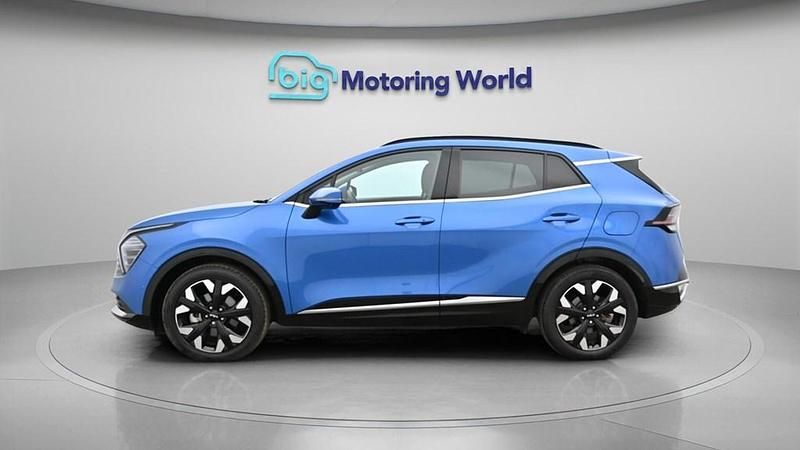 Used Kia Sportage 261 HP (191 kW) 2023 Blue SUV