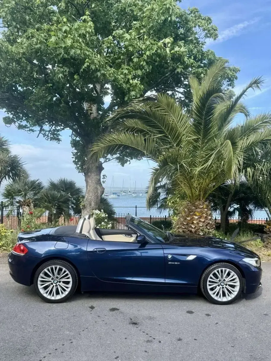 Used BMW Z4 2012 Blue Cabriolet