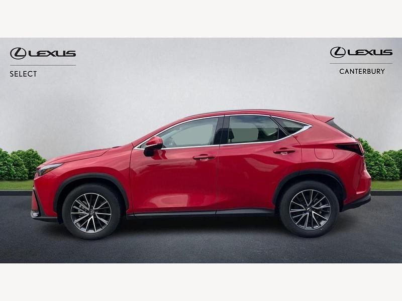 Used Lexus NX350h 2024 Red Estate