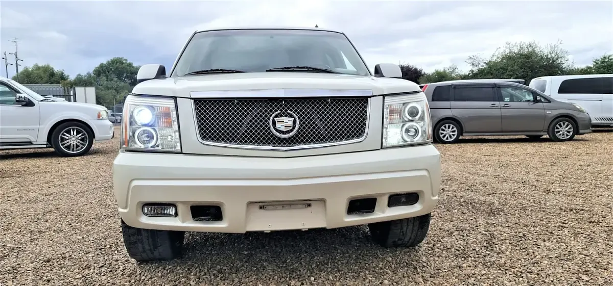 Used Cadillac Escalade 2021 White SUV