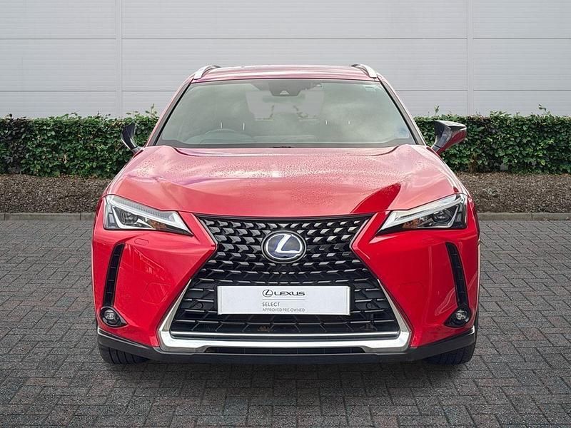 Used Lexus UX 250h 2021 Red SUV