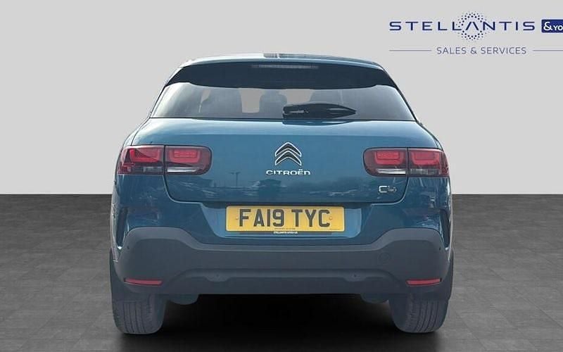 Used Citroën C4 Cactus Flair 120 HP (88 kW) 2019 Blue Hatchback