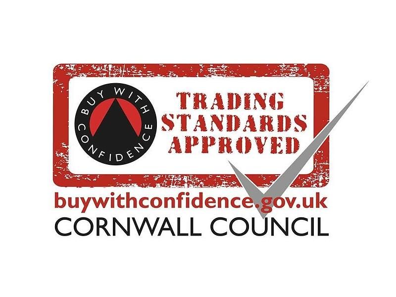 Used Renault Trafic Business 125 HP (91 kW) 2017 White MPV