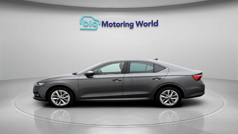 Usado Skoda Octavia SE L 150 HP (110 kW) 2023 Cinzento Citadino